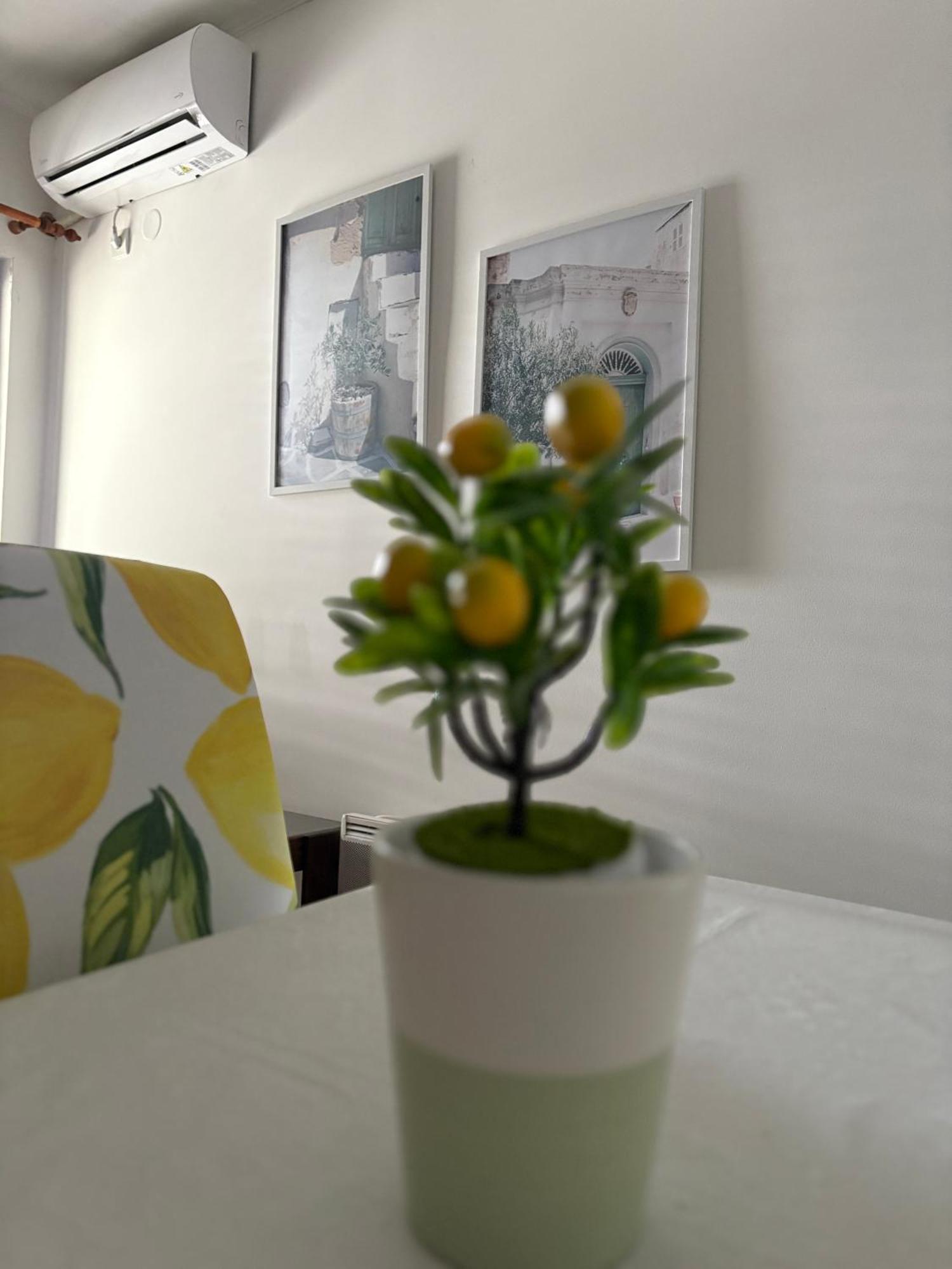 Apartments Herceg Novi Szoba fotó