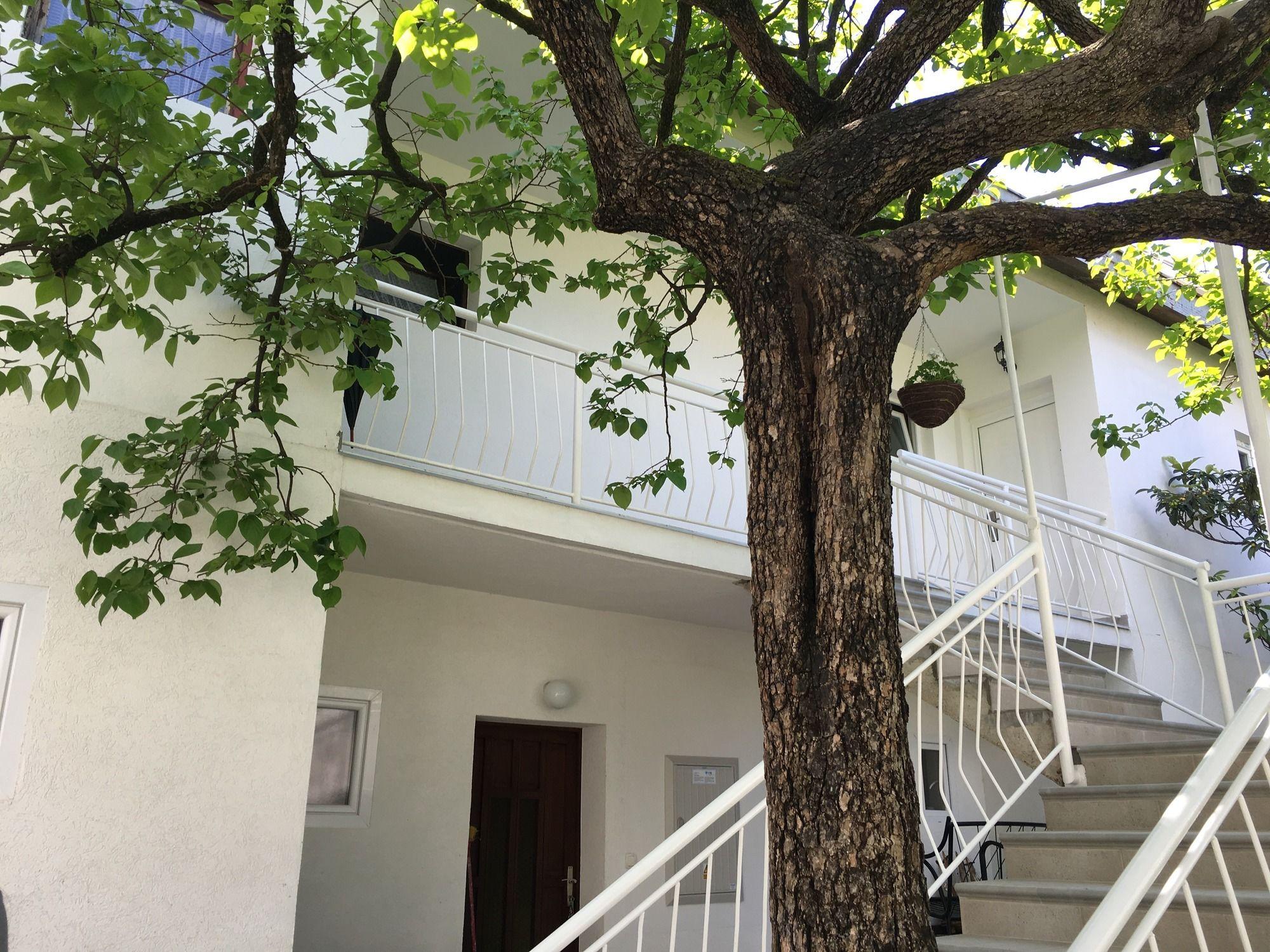 Apartments Herceg Novi Kültér fotó